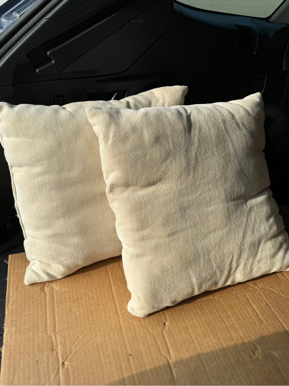 Two White Pillows Small